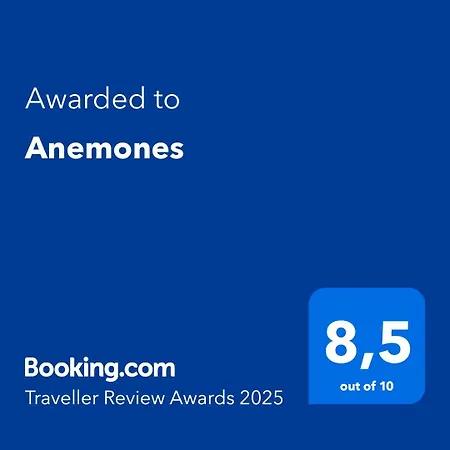 Bed & Breakfast Anemones